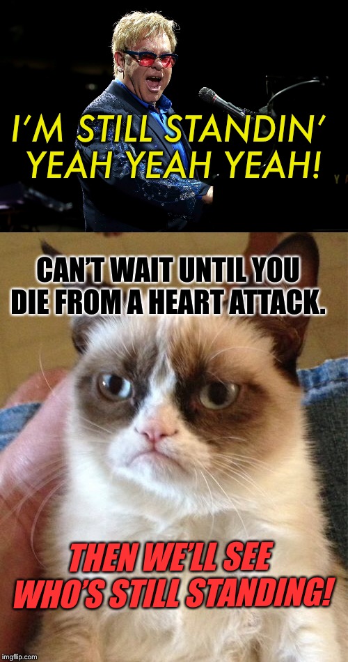 Grumpy Cat Weekend! A craziness_all_the_way and Socrates  event | I’M STILL STANDIN’ YEAH YEAH YEAH! CAN’T WAIT UNTIL YOU DIE FROM A HEART ATTACK. THEN WE’LL SEE WHO’S STILL STANDING! | image tagged in grumpy cat,elton john,funny,memes | made w/ Imgflip meme maker