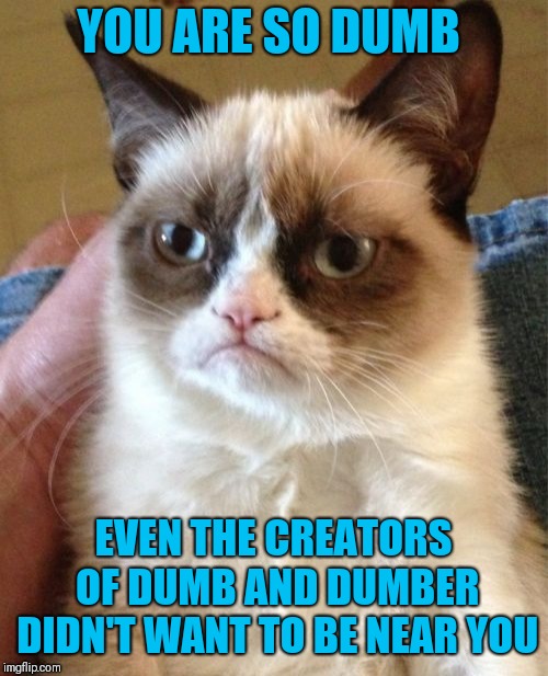 Grumpy Cat Weekend (A Socrates and craziness_all_the_way event) | YOU ARE SO DUMB; EVEN THE CREATORS OF DUMB AND DUMBER DIDN'T WANT TO BE NEAR YOU | image tagged in memes,grumpy cat | made w/ Imgflip meme maker
