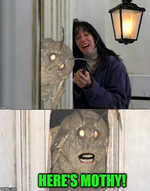 The Mothing | HERE'S MOTHY! | image tagged in memes,funny memes,moth,the shining,moth meme | made w/ Imgflip meme maker