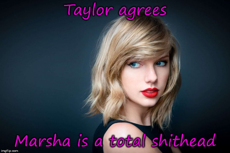 Taylor knows what's up with racist, homophobic assholes | Taylor agrees; Marsha is a total shithead | image tagged in taylor swift,marsha blackburn,magats | made w/ Imgflip meme maker