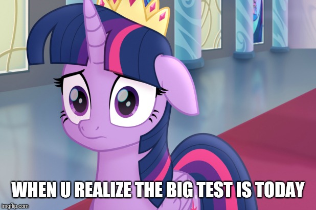 Mlp twilight | WHEN U REALIZE THE BIG TEST IS TODAY | image tagged in mlp twilight | made w/ Imgflip meme maker