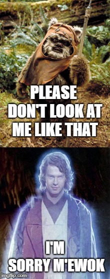 Anakin Skywalker | PLEASE DON'T LOOK AT ME LIKE THAT; I'M SORRY M'EWOK | image tagged in star wars,anakin skywalker | made w/ Imgflip meme maker