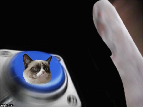 Grumpy Cat Blank Nut Button | image tagged in grumpy cat blank nut button | made w/ Imgflip meme maker