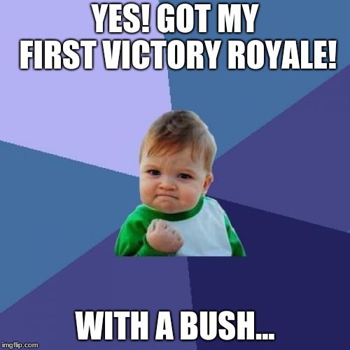 Success Kid | YES! GOT MY FIRST VICTORY ROYALE! WITH A BUSH... | image tagged in memes,success kid | made w/ Imgflip meme maker