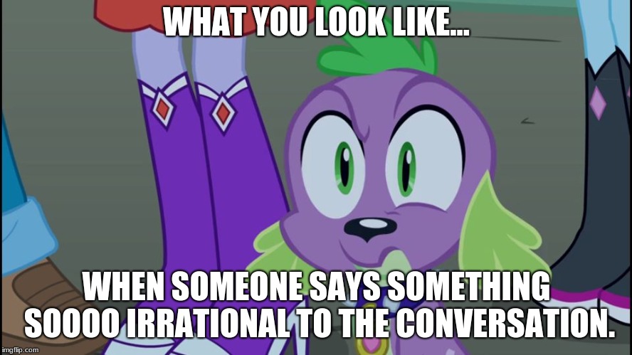 Mlp equestria girls spike da fuk | WHAT YOU LOOK LIKE... WHEN SOMEONE SAYS SOMETHING SOOOO IRRATIONAL TO THE CONVERSATION. | image tagged in mlp equestria girls spike da fuk | made w/ Imgflip meme maker