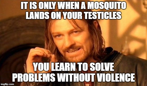 non violence | IT IS ONLY WHEN A MOSQUITO LANDS ON YOUR TESTICLES; YOU LEARN TO SOLVE PROBLEMS WITHOUT VIOLENCE | image tagged in memes,one does not simply | made w/ Imgflip meme maker