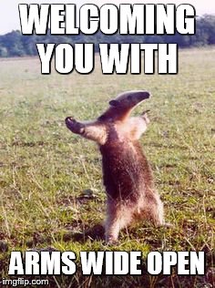 Open Arms Aardvark | WELCOMING YOU WITH; ARMS WIDE OPEN | image tagged in open arms aardvark | made w/ Imgflip meme maker