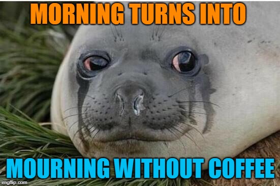 Crying Seal | MORNING TURNS INTO; MOURNING WITHOUT COFFEE | image tagged in crying seal | made w/ Imgflip meme maker