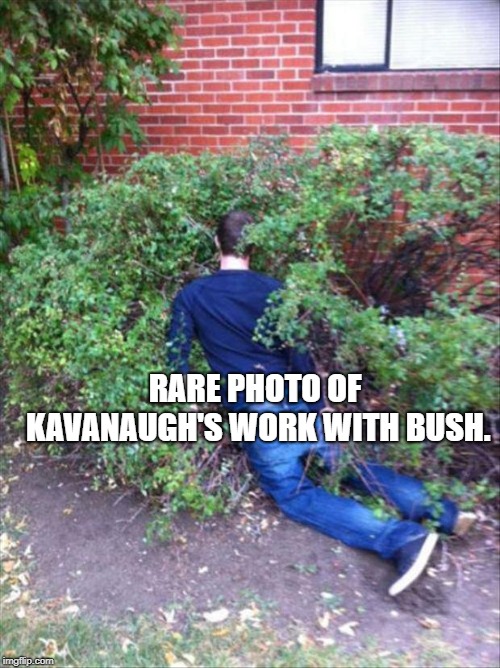 Drunk and passed out | RARE PHOTO OF KAVANAUGH'S WORK WITH BUSH. | image tagged in drunk and passed out | made w/ Imgflip meme maker