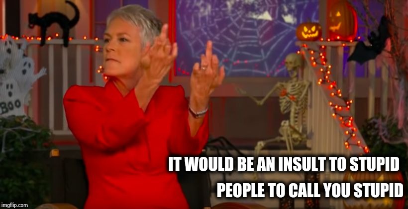 Jamie Lee Curtis Flipping The Bird | IT WOULD BE AN INSULT TO STUPID PEOPLE TO CALL YOU STUPID | image tagged in jamie lee curtis flipping the bird | made w/ Imgflip meme maker