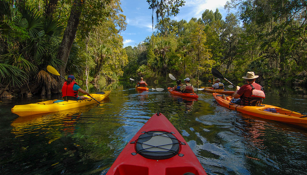 kayaking_rush_hour Blank Meme Template