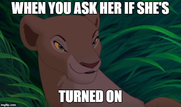 WHEN YOU ASK HER IF SHE'S; TURNED ON | image tagged in lion king,funny memes | made w/ Imgflip meme maker