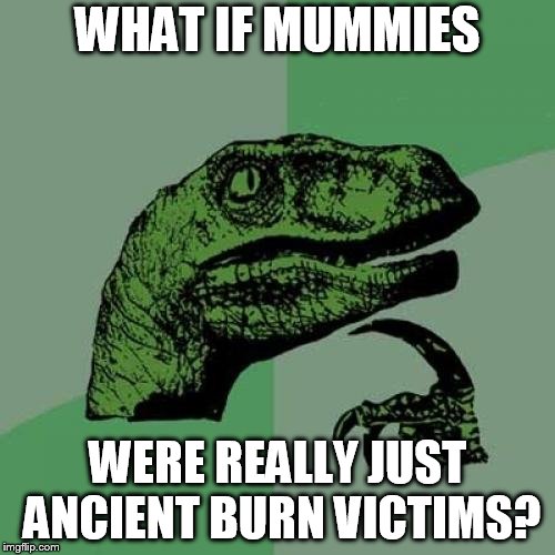 Philosoraptor Meme | WHAT IF MUMMIES; WERE REALLY JUST ANCIENT BURN VICTIMS? | image tagged in memes,philosoraptor | made w/ Imgflip meme maker