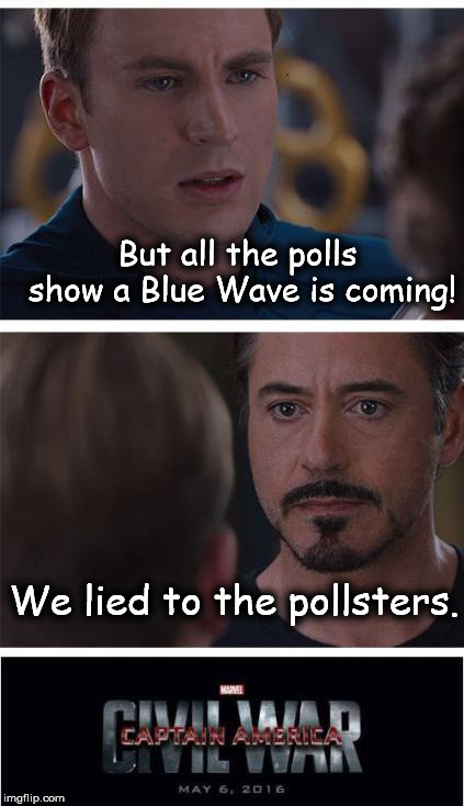 Marvel Civil War 1 Meme | But all the polls show a Blue Wave is coming! We lied to the pollsters. | image tagged in memes,marvel civil war 1 | made w/ Imgflip meme maker