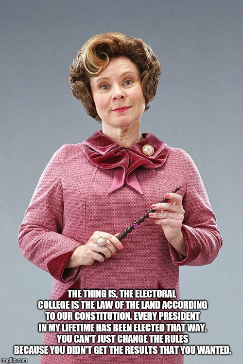 Dolores Umbridge | THE THING IS, THE ELECTORAL COLLEGE IS THE LAW OF THE LAND ACCORDING TO OUR CONSTITUTION. EVERY PRESIDENT IN MY LIFETIME HAS BEEN ELECTED TH | image tagged in dolores umbridge | made w/ Imgflip meme maker