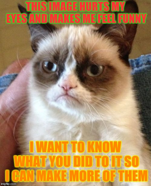 Grumpy Cat Meme | THIS IMAGE HURTS MY EYES AND MAKES ME FEEL FUNNY I WANT TO KNOW WHAT YOU DID TO IT SO I CAN MAKE MORE OF THEM | image tagged in memes,grumpy cat | made w/ Imgflip meme maker