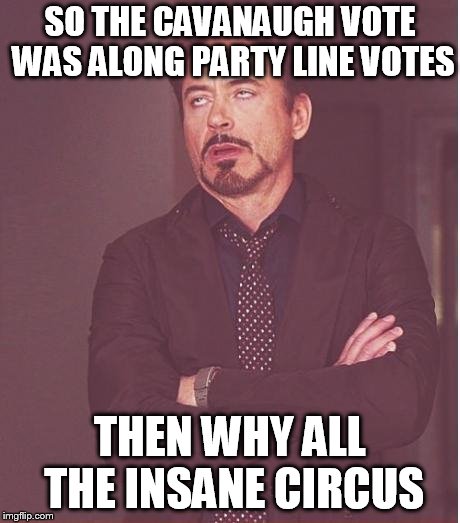 Face You Make Robert Downey Jr Meme | SO THE CAVANAUGH VOTE WAS ALONG PARTY LINE VOTES; THEN WHY ALL THE INSANE CIRCUS | image tagged in memes,face you make robert downey jr | made w/ Imgflip meme maker