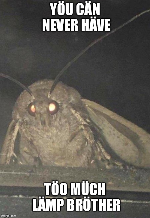 Moth | YÖU CÄN NEVER HÄVE TÖO MÜCH LÄMP BRÖTHER | image tagged in moth | made w/ Imgflip meme maker
