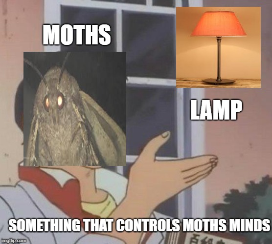 Is This A Pigeon | MOTHS; LAMP; SOMETHING THAT CONTROLS MOTHS MINDS | image tagged in memes,is this a pigeon | made w/ Imgflip meme maker