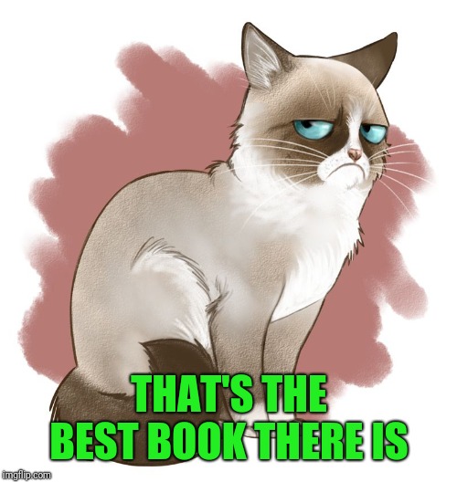 Grumpy Cat Drawing | THAT'S THE BEST BOOK THERE IS | image tagged in grumpy cat drawing | made w/ Imgflip meme maker
