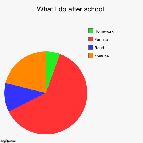 What I do after school | Youtube, Read, Fortnite, Homework | image tagged in funny,pie charts | made w/ Imgflip chart maker