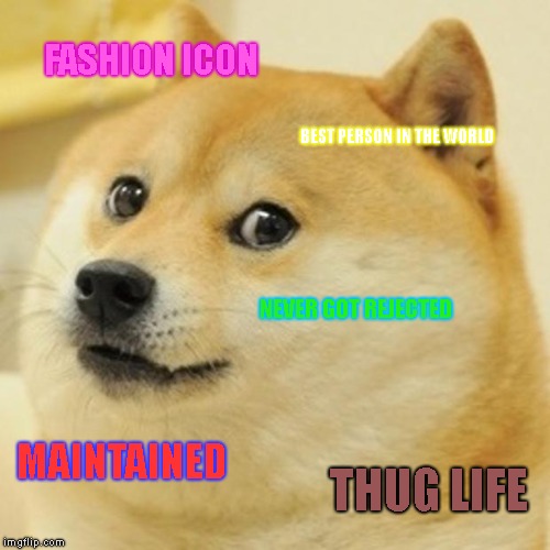 Compliments | FASHION ICON; BEST PERSON IN THE WORLD; NEVER GOT REJECTED; MAINTAINED; THUG LIFE | image tagged in memes,doge | made w/ Imgflip meme maker