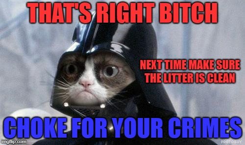 image tagged in grumpy cat star wars | made w/ Imgflip meme maker