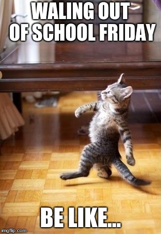 Cool Cat Stroll Meme | WALING OUT OF SCHOOL FRIDAY; BE LIKE... | image tagged in memes,cool cat stroll | made w/ Imgflip meme maker