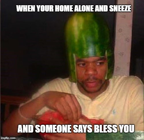 i dunno | WHEN YOUR HOME ALONE AND SNEEZE; AND SOMEONE SAYS BLESS YOU | image tagged in lol | made w/ Imgflip meme maker
