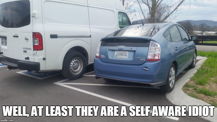 Look closely | WELL, AT LEAST THEY ARE A SELF AWARE IDIOT | image tagged in bad parking | made w/ Imgflip meme maker