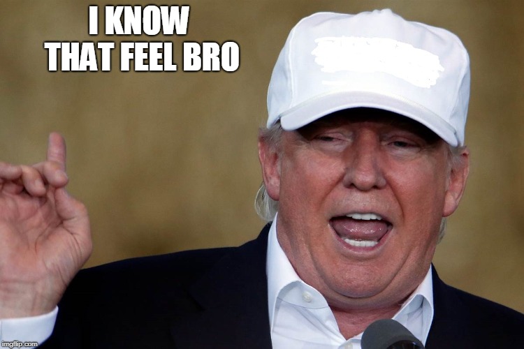 Donald Trump Blank MAGA Hat | I KNOW THAT FEEL BRO | image tagged in donald trump blank maga hat | made w/ Imgflip meme maker