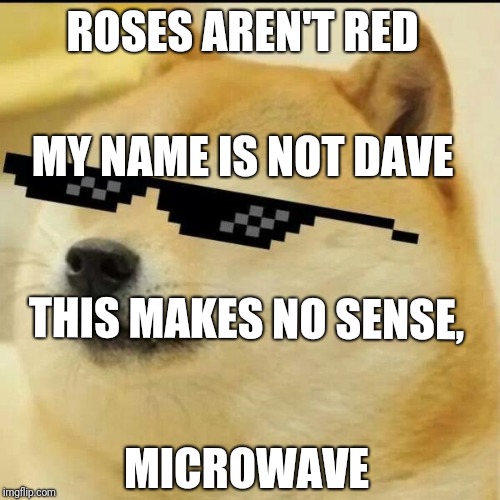 Sunglass Doge | ROSES AREN'T RED; MY NAME IS NOT DAVE; THIS MAKES NO SENSE, MICROWAVE | image tagged in sunglass doge | made w/ Imgflip meme maker