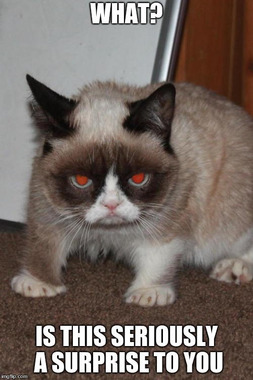 Grumpy Cat red eyes |  WHAT? IS THIS SERIOUSLY A SURPRISE TO YOU | image tagged in grumpy cat red eyes | made w/ Imgflip meme maker