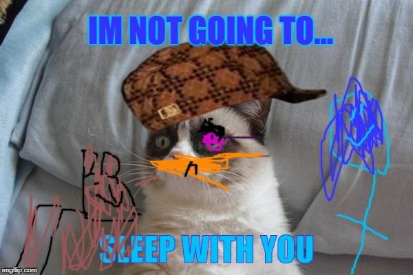 Grumpy Cat Bed Meme | IM NOT GOING TO... SLEEP WITH YOU | image tagged in memes,grumpy cat bed,grumpy cat,scumbag | made w/ Imgflip meme maker
