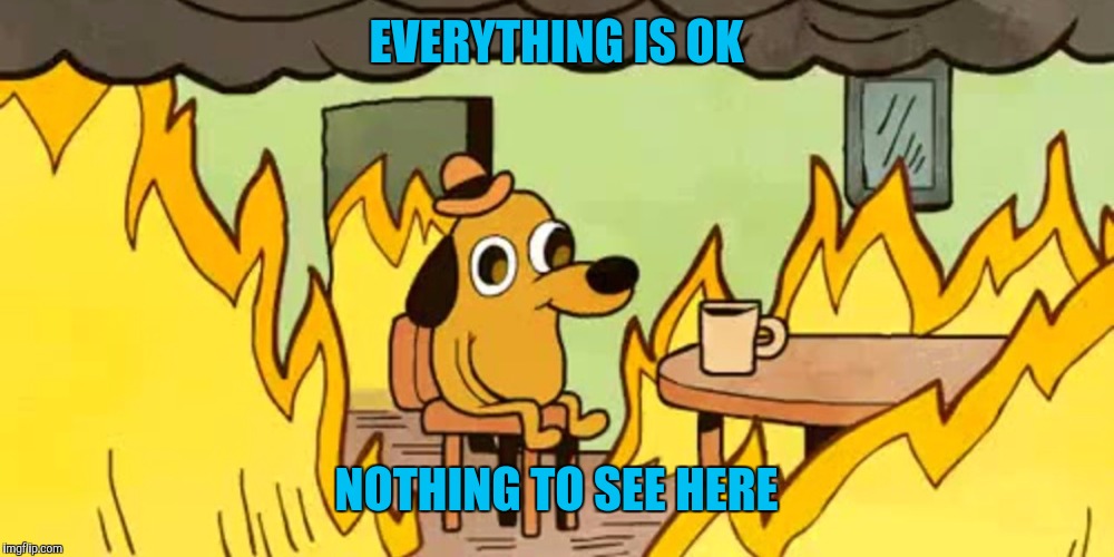 Dog on fire | EVERYTHING IS OK NOTHING TO SEE HERE | image tagged in dog on fire | made w/ Imgflip meme maker