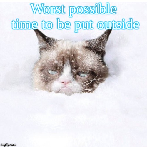 He Was Just Doing What He Does Best | Worst possible time to be put outside | image tagged in grumpy cat snow,grumpy cat | made w/ Imgflip meme maker