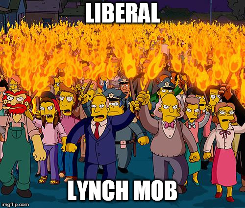 angry mob | LIBERAL; LYNCH MOB | image tagged in angry mob | made w/ Imgflip meme maker