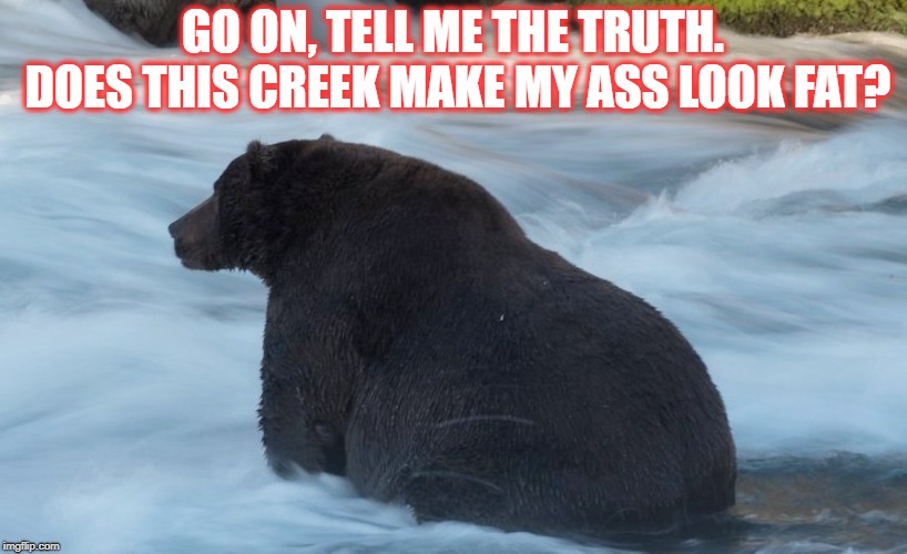 BEAR BUTT | GO ON, TELL ME THE TRUTH. DOES THIS CREEK MAKE MY ASS LOOK FAT? | image tagged in bears | made w/ Imgflip meme maker