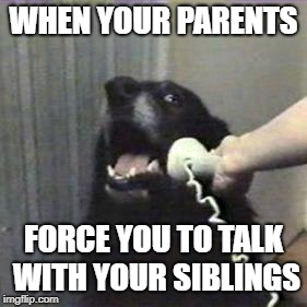 dog telephone | WHEN YOUR PARENTS; FORCE YOU TO TALK WITH YOUR SIBLINGS | image tagged in dog telephone | made w/ Imgflip meme maker