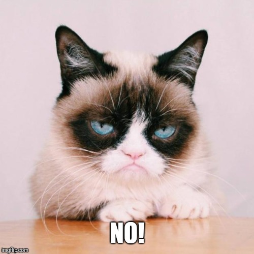 grumpy cat again | NO! | image tagged in grumpy cat again | made w/ Imgflip meme maker