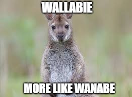 Wallabie | WALLABIE; MORE LIKE WANABE | image tagged in memes | made w/ Imgflip meme maker
