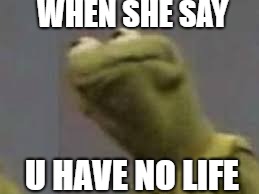 constipated kermit | WHEN SHE SAY; U HAVE NO LIFE | image tagged in constipated kermit | made w/ Imgflip meme maker