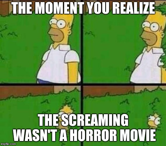 Homer Simpson in Bush - Large | THE MOMENT YOU REALIZE; THE SCREAMING WASN'T A HORROR MOVIE | image tagged in homer simpson in bush - large | made w/ Imgflip meme maker