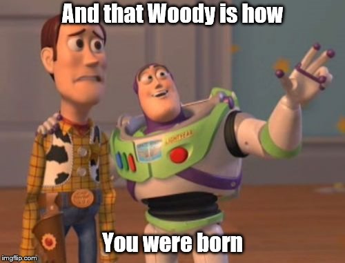 X, X Everywhere | And that Woody is how; You were born | image tagged in x x everywhere | made w/ Imgflip meme maker