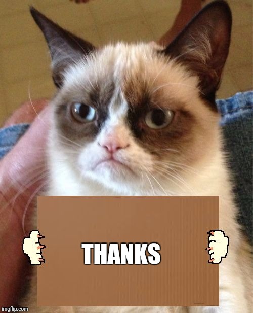 Grumpy Cat Cardboard Sign | THANKS | image tagged in grumpy cat cardboard sign | made w/ Imgflip meme maker