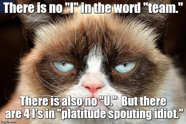 Grumpy Cat Not Amused Meme | There is no "I" in the word "team." There is also no "U."  But there are 4 I's in "platitude spouting idiot." | image tagged in memes,grumpy cat not amused,grumpy cat | made w/ Imgflip meme maker