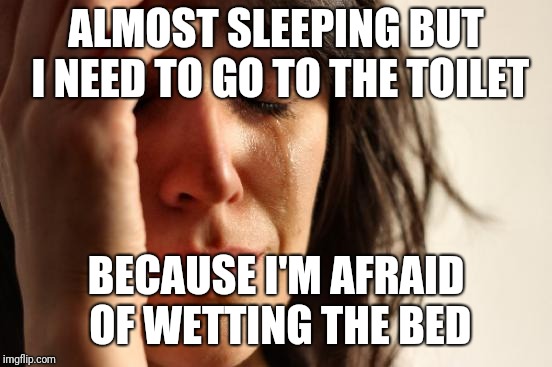Wet dreams go away! | ALMOST SLEEPING BUT I NEED TO GO TO THE TOILET; BECAUSE I'M AFRAID OF WETTING THE BED | image tagged in memes,first world problems | made w/ Imgflip meme maker