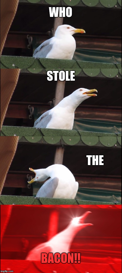 Inhaling Seagull Meme | WHO; STOLE; THE; BACON!! | image tagged in memes,inhaling seagull | made w/ Imgflip meme maker