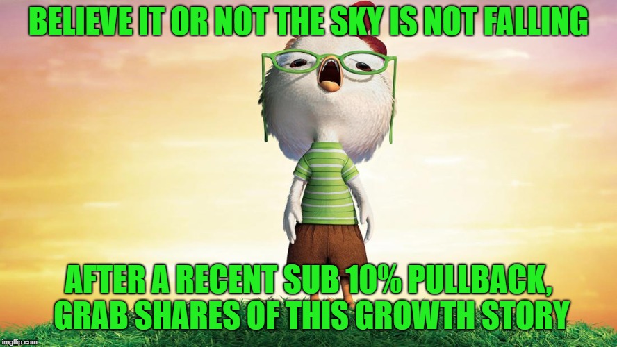 BELIEVE IT OR NOT THE SKY IS NOT FALLING; AFTER A RECENT SUB 10% PULLBACK, GRAB SHARES OF THIS GROWTH STORY | made w/ Imgflip meme maker