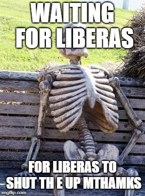 Waiting Skeleton Meme | WAITING FOR LIBERAS FOR LIBERAS TO SHUT TH E UP MTHAMKS | image tagged in memes,waiting skeleton | made w/ Imgflip meme maker